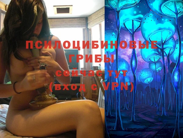spice Балабаново
