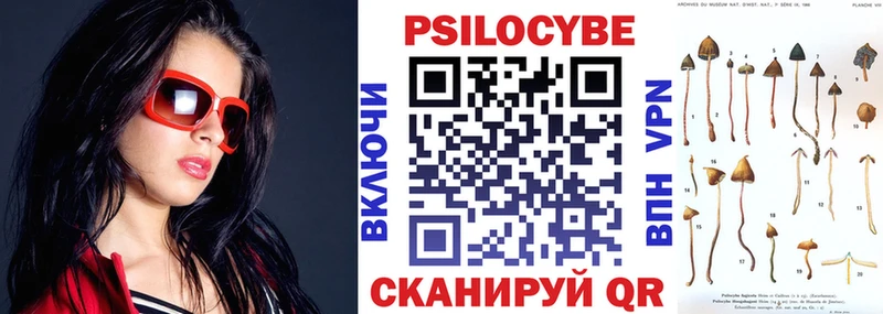 наркошоп Нижнеудинск mega зеркало Галлюциногенные грибы мухоморы